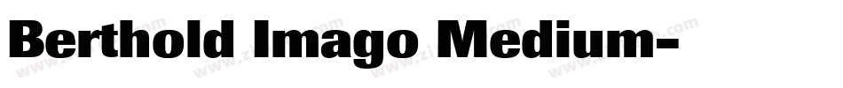 Berthold Imago Medium字体转换